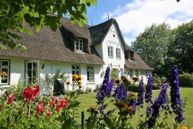 Pastor's Stuv (Das Alte Pastorat)