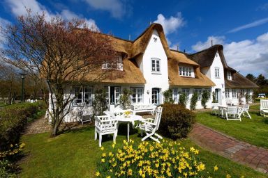 Entennest im Witthüs