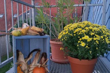 Ferienwohnung Nordwind