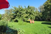 Gartenblick