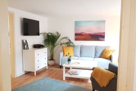 TV / Multimedia