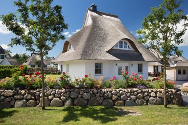 Ferienhaus Seeadler 24 - Ferienhaus Seeadler 24 - Der Natur ganz nah