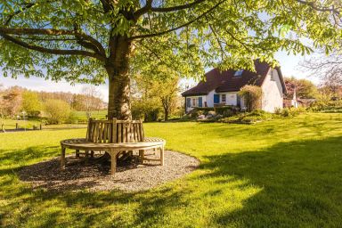 Teichrose - Ferienhaus "Teichrose" in Boren