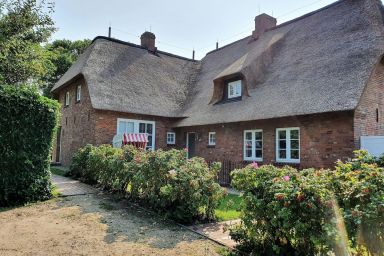 Traumkoje - Wohnung 5 - Ferienwohnung Traumkoje - mit Sauna, Terrasse & Parkplatz in Alkersum