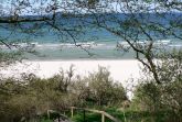 Nordstrand