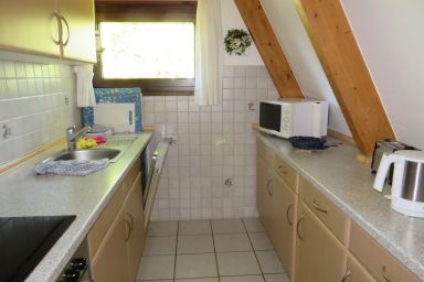 Spitzdachferienhaus mit Schwedenofen und Garten - Spitzdachferienhaus mit Schwedenofen und Garten .1