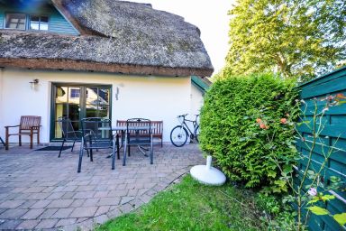 Strandflieder - Kirchhaus .2