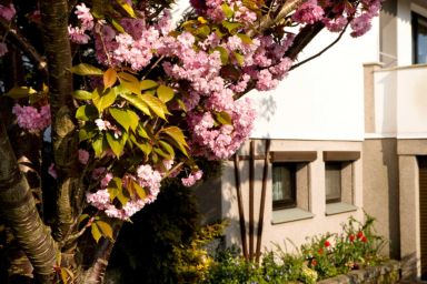 KuR Sommer - Souterrain Ferienwohnung - Souterrain-Ferienwohnung