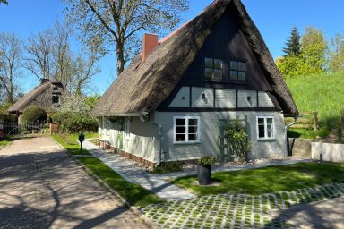 Historische Reetdachkate am Elbdeich