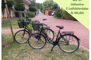 Zempin Ostseepark WE 37 Insel Usedom nur 150m zum Strand - WE 37 Meerjungfrau