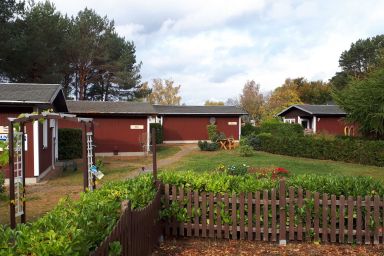 Ferienhäuser Räuberkuhle 1 - Haus Koserow TUI
