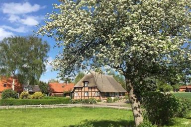 Haus Ruhe unter Reet