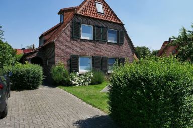 Apart Lachmöwe im Möwennest Tossens