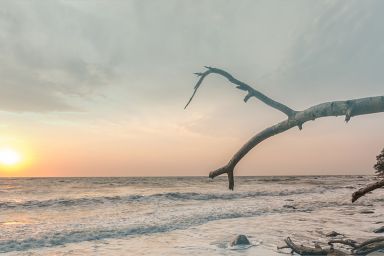 Meeresrauschen - direkt am Meer