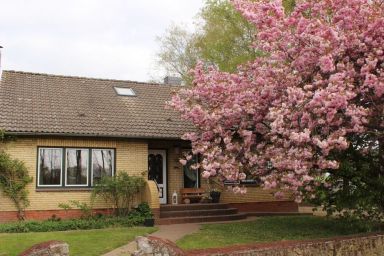 Ferienhof Struve - Hörken