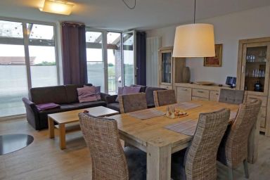 Sonnenblume in Hohen Wieschendorf - Sonnenblume in Hohen Wieschendorf .1