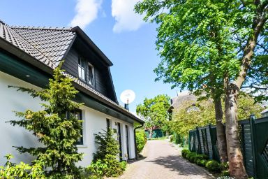 Kormoran - Kormoran .2