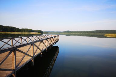 Bungalow am See - Bungalow Möwe
