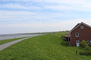 Dat Kapitänshus - Fewo Halligblick - Halligblick