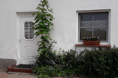 Ferienwohnungen in der Vinetastadt Barth - Tannenwohnung