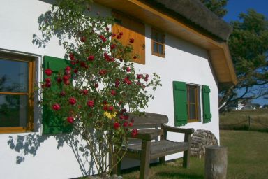 Appartement im Fischerhaus Hiddensee 22 qm - Appartement im Fischerhaus 22 qm