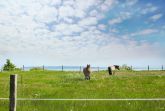 Landschaft