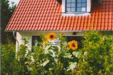 Lindenstrasse 32b OG - kleine Ferienwohnung in Zingst