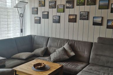 Lachmöwe - Lachmöwe .1