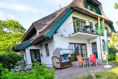 Strandflieder - Sturmhaube .4