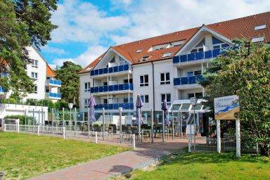 Blaumuschel (LUB113) - Blaumuschel (LUB108) .5