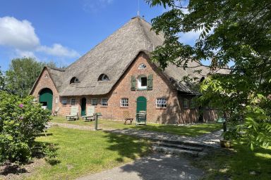 haubarg am meer - Seemöwe