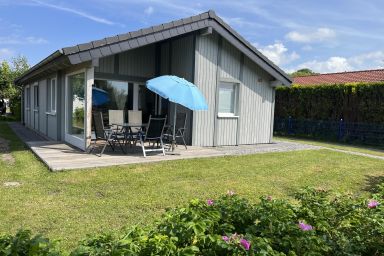Ferienhaus Sahneschnitte - Sahneschnitte