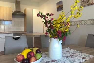 Ostsee Bauernhof Schwalbennest OFC 15 - Nr.2 / 4 Zimmer Ferienwohnung mit Kamin, Terrasse, Garten