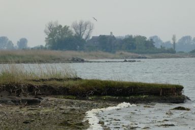 Ferienhaus Lachmöwe - FerienhausLachmöwe