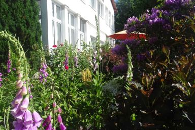 Stranddistel - Haus Gudrun: Familiensuite 1 - Familiensuite 1