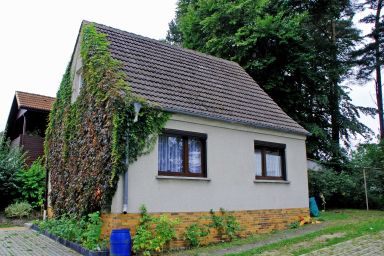 Ferienwohnungen im Ostseebad Baabe - Ferienwohnung mit Terrasse OG