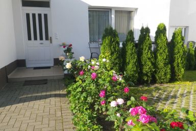 Stranddistel - Haus Gudrun: FeWo 5 - FeWo 5 EG