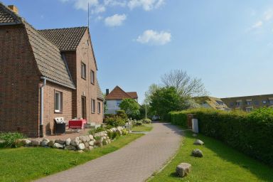 Boddenzander