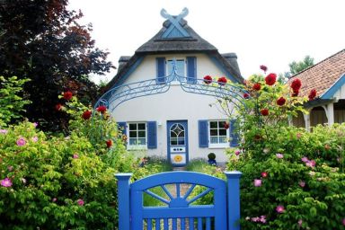 Möwennest - Ferienhaus "Möwennest" auf Poel