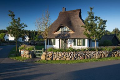 Ferienhaus Seeadler 42 - Ferienhaus Seeadler 42 - Der Natur ganz nah