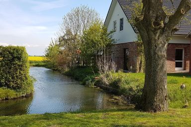 Ferienhaus in Landschaftspolder mit Großem Garten