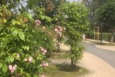 Direkte Umgebung des Objekts. StÃ¶rtebekerstr.