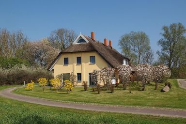 Tolles Ferienhaus in Poseritz mit Garten, Terrasse und Grill