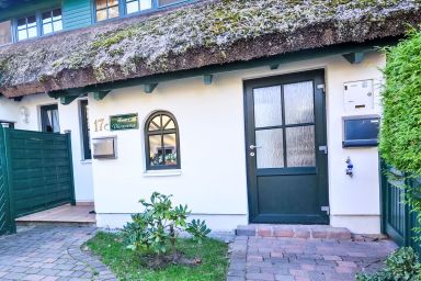 Strandflieder - Dünenrose .5