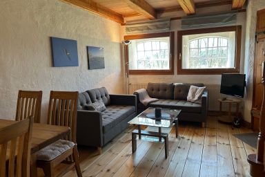 haubarg am meer - Seemöwe