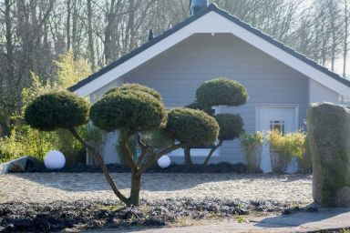 Ferienhaus Strandläufer - Strandläufer