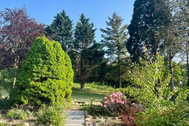 Naturidyll Mariendorf - Ferienwohnung Mammutbaum - Ferienwohnung Mammutbaum