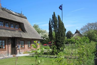 Huus Asgard Ferienhäuser und Ferienwohnungen  an der Ostsee - Ferienwohnung Midgard