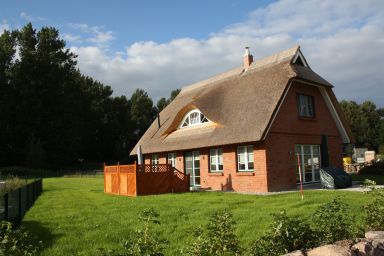 Kleine Seemöwe