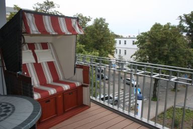 Warnemünde Schilfgras 44798